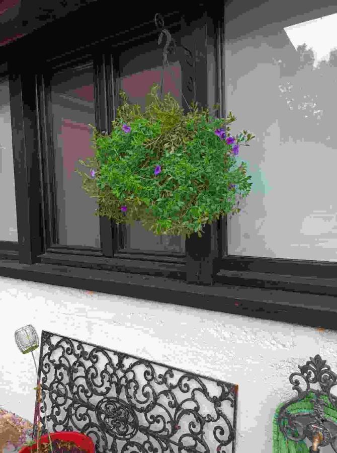 La Grange Bed & Breakfast Promilhanes Exterior foto